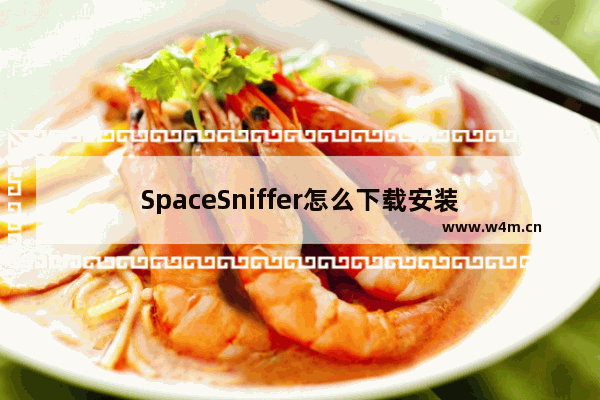 SpaceSniffer怎么下载安装