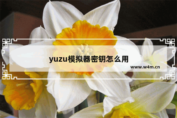 yuzu模拟器密钥怎么用