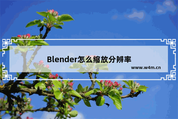 Blender怎么缩放分辨率