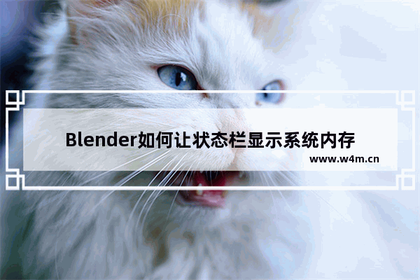 Blender如何让状态栏显示系统内存