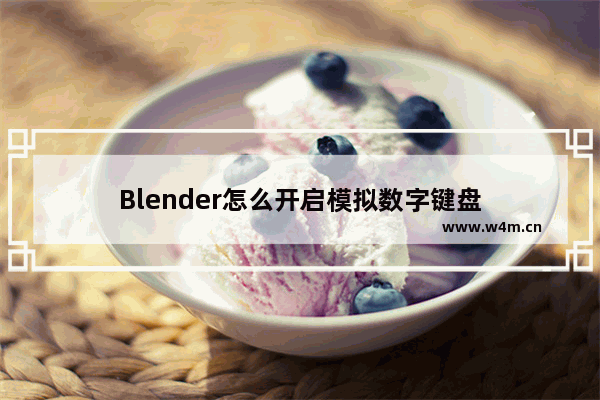 Blender怎么开启模拟数字键盘