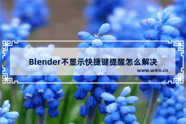 Blender不显示快捷键提醒怎么解决