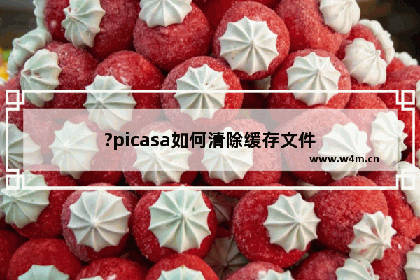 ?picasa如何清除缓存文件