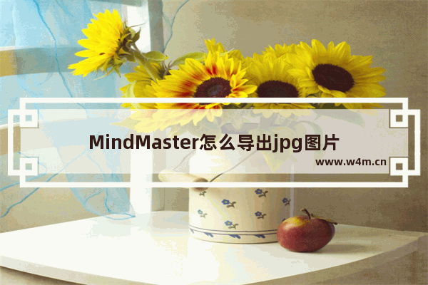 MindMaster怎么导出jpg图片