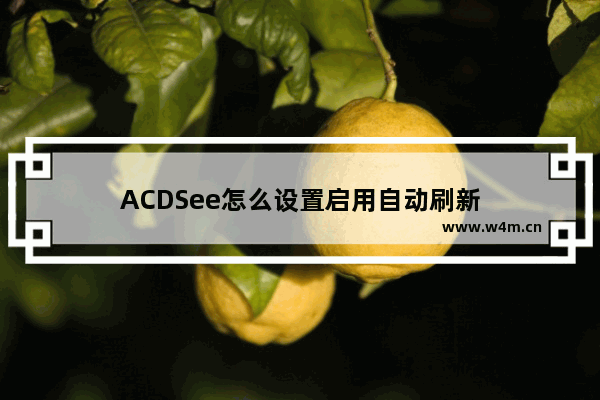 ACDSee怎么设置启用自动刷新