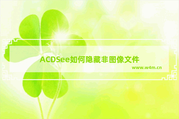 ACDSee如何隐藏非图像文件