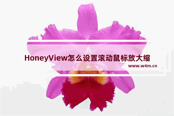 HoneyView怎么设置滚动鼠标放大缩小图片