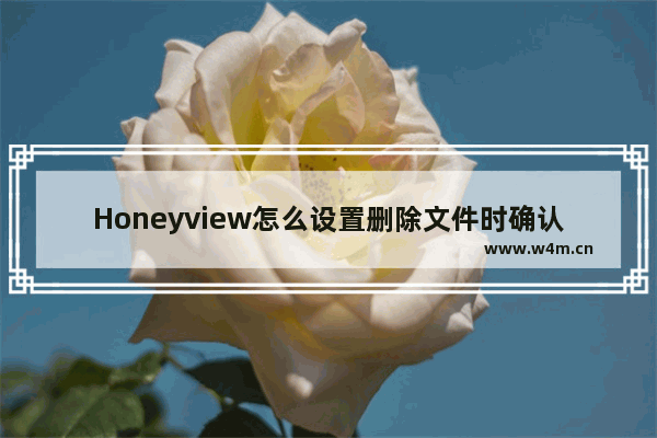 Honeyview怎么设置删除文件时确认