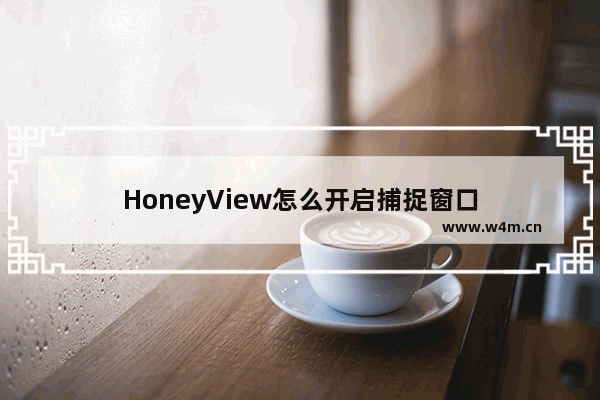 HoneyView怎么开启捕捉窗口