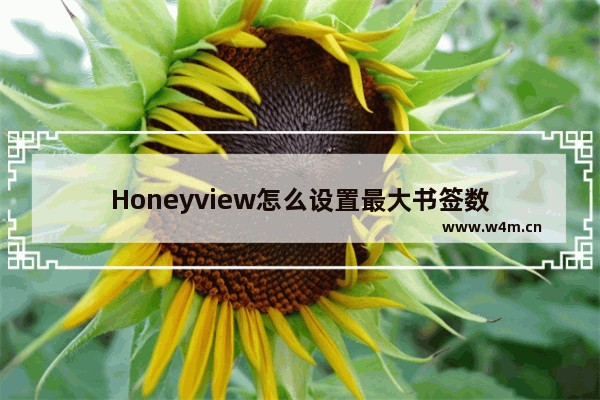 Honeyview怎么设置最大书签数