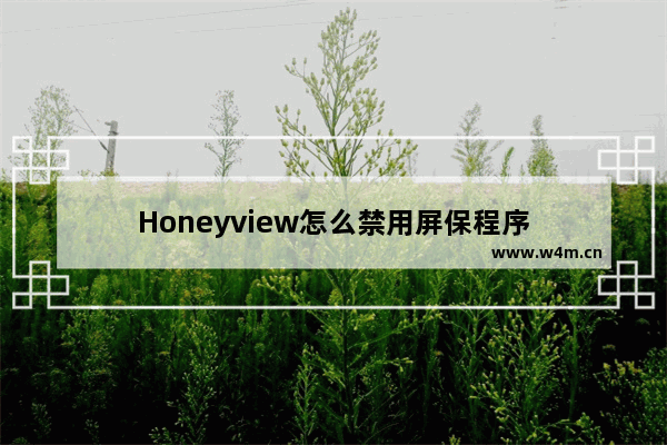 Honeyview怎么禁用屏保程序