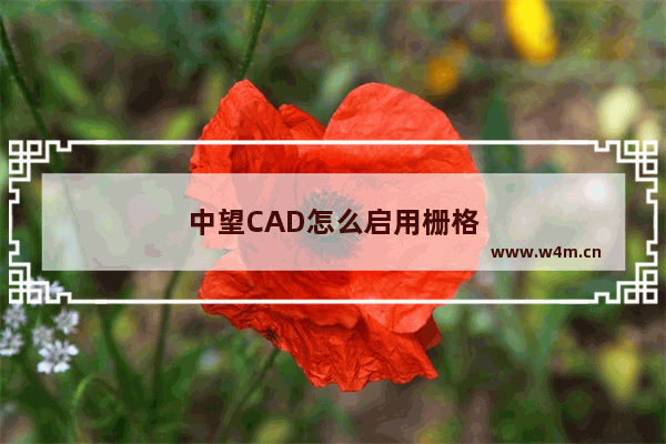 中望CAD怎么启用栅格