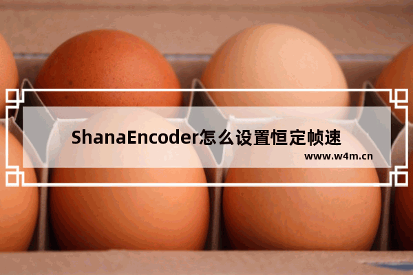 ShanaEncoder怎么设置恒定帧速率编码