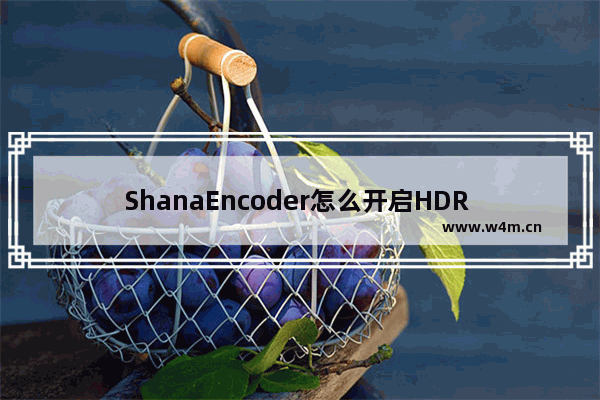 ShanaEncoder怎么开启HDR to SDR色调映射