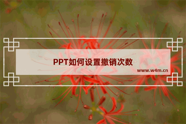 PPT如何设置撤销次数