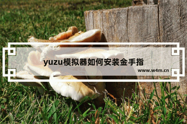 yuzu模拟器如何安装金手指