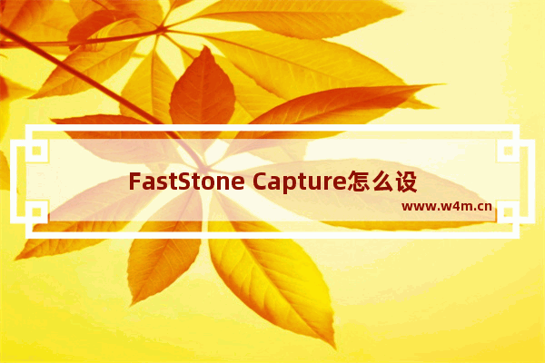 FastStone Capture怎么设置自动保存