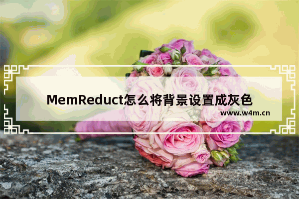 MemReduct怎么将背景设置成灰色