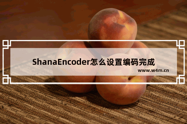 ShanaEncoder怎么设置编码完成自动关机