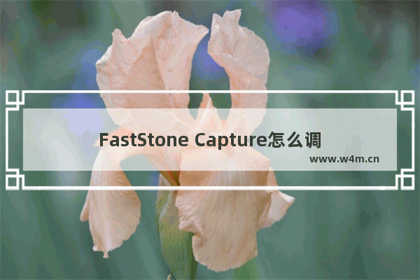 FastStone Capture怎么调整滚动速度