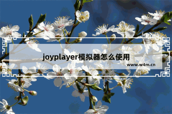 joyplayer模拟器怎么使用