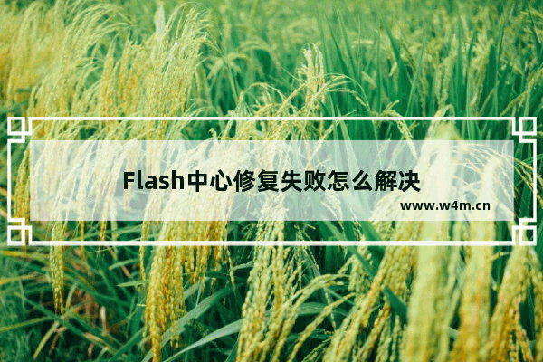 Flash中心修复失败怎么解决