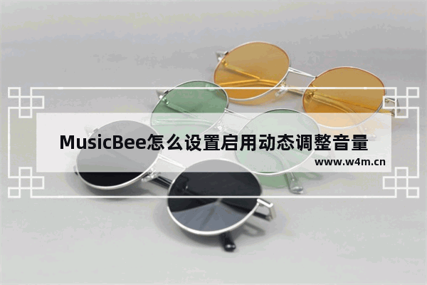 MusicBee怎么设置启用动态调整音量功能