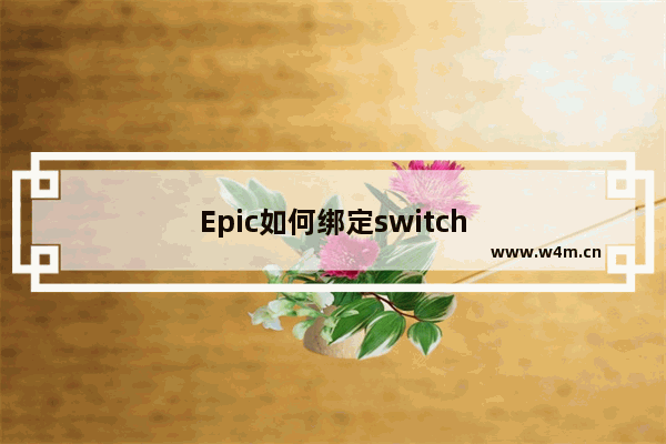 Epic如何绑定switch