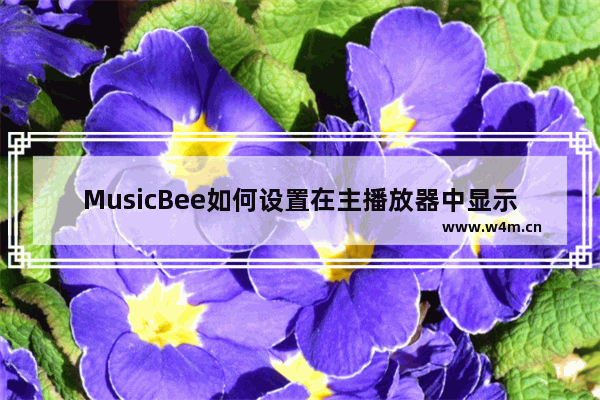 MusicBee如何设置在主播放器中显示频谱图