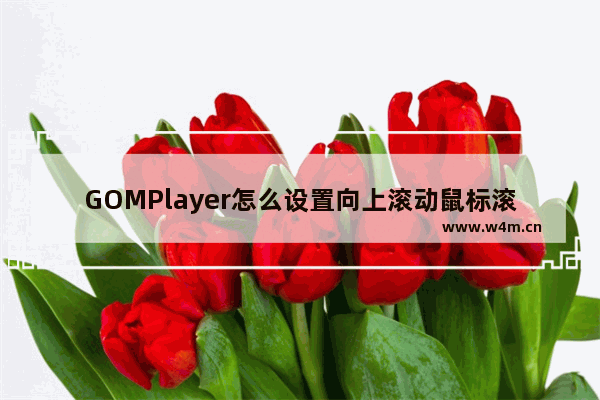 GOMPlayer怎么设置向上滚动鼠标滚轮加大声音