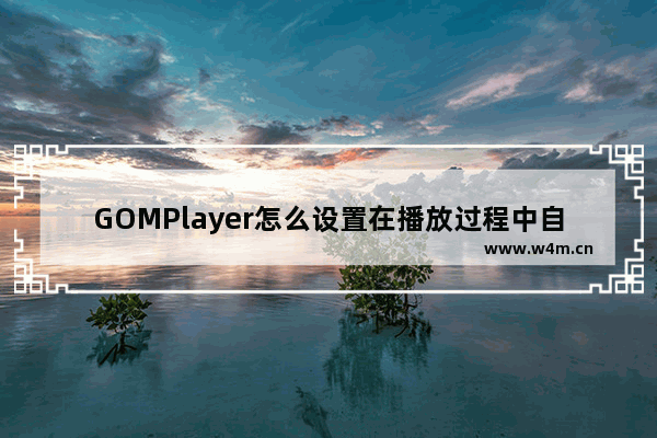 GOMPlayer怎么设置在播放过程中自动隐藏鼠标