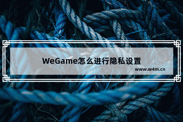 WeGame怎么进行隐私设置