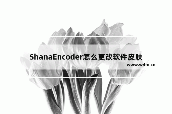 ShanaEncoder怎么更改软件皮肤