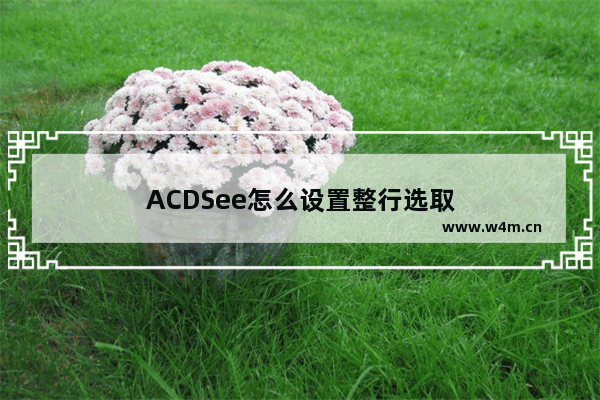 ACDSee怎么设置整行选取