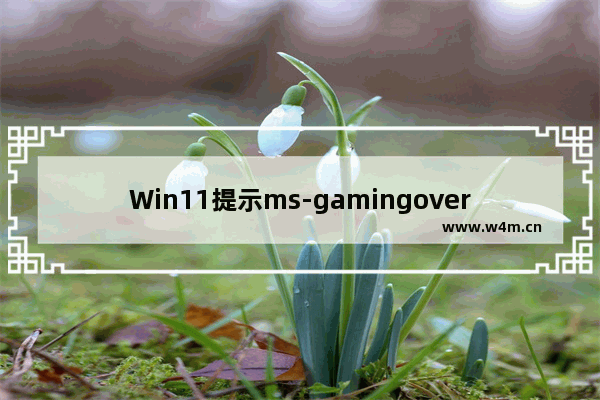 Win11提示ms-gamingoverlay怎么解决