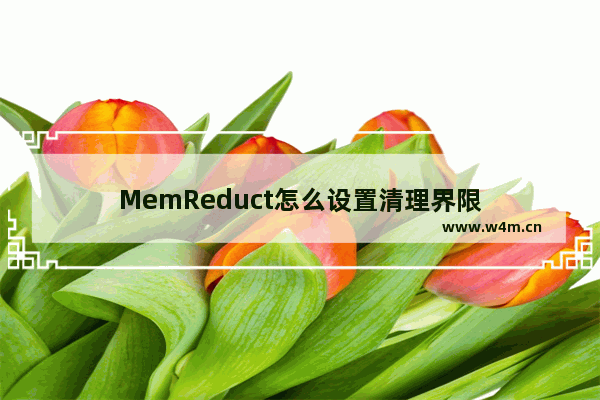 MemReduct怎么设置清理界限