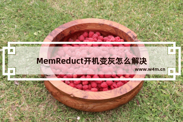 MemReduct开机变灰怎么解决