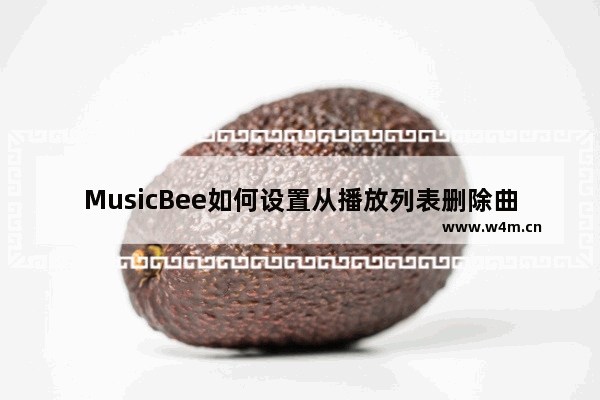 MusicBee如何设置从播放列表删除曲目提示我