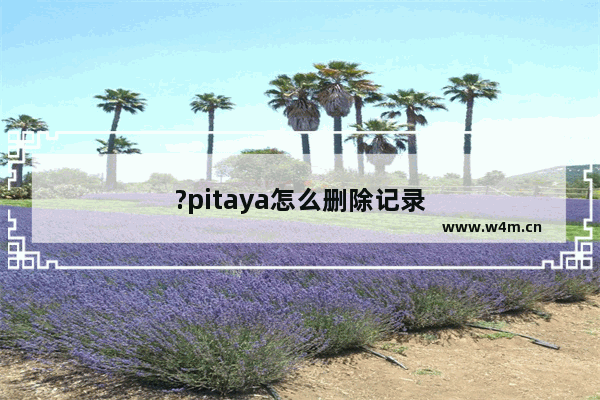 ?pitaya怎么删除记录