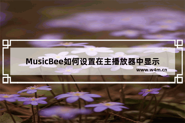 MusicBee如何设置在主播放器中显示频谱图