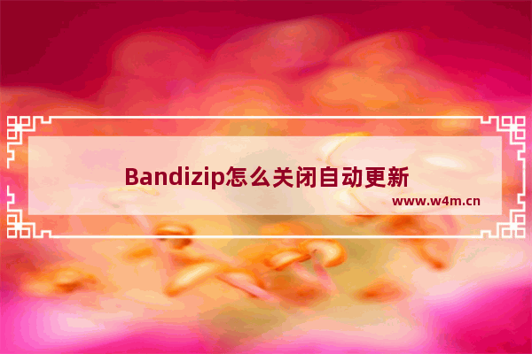 Bandizip怎么关闭自动更新