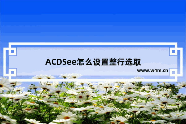 ACDSee怎么设置整行选取