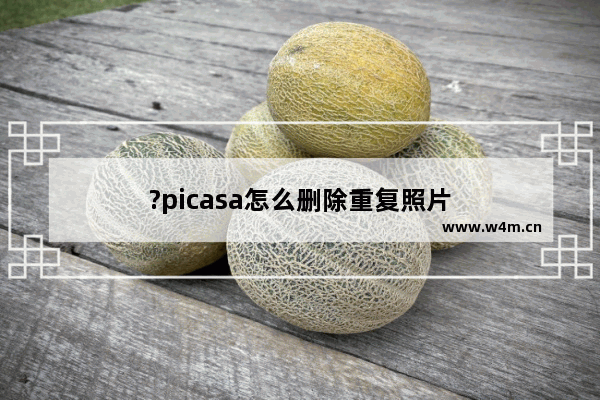 ?picasa怎么删除重复照片