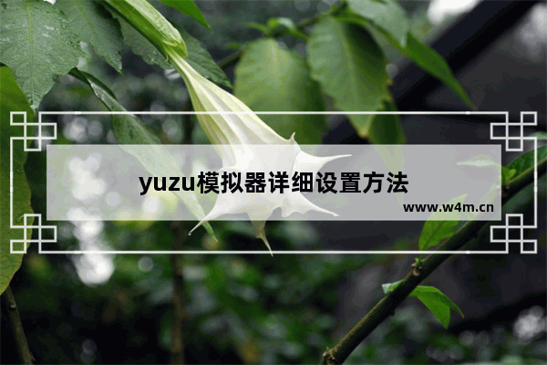 yuzu模拟器详细设置方法