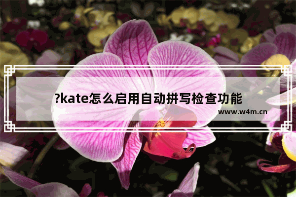 ?kate怎么启用自动拼写检查功能