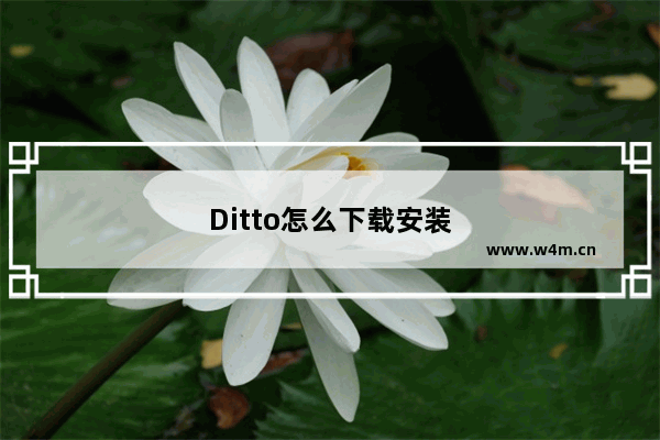 Ditto怎么下载安装