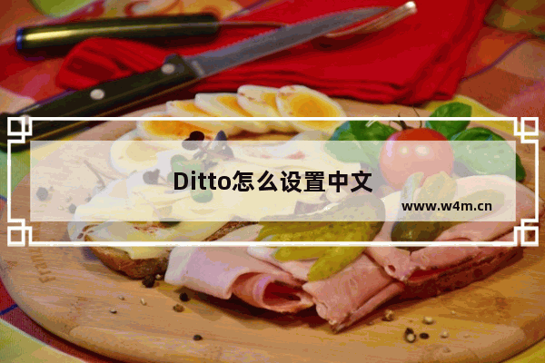 Ditto怎么设置中文