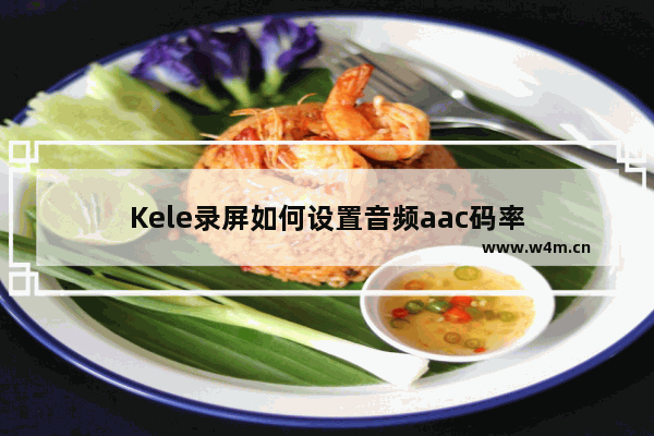 Kele录屏如何设置音频aac码率