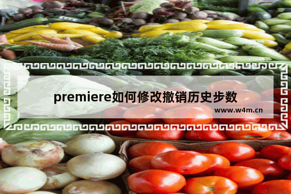 premiere如何修改撤销历史步数