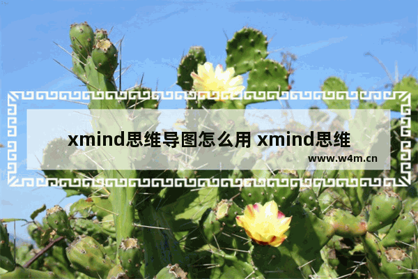 xmind思维导图怎么用 xmind思维导图怎么用详情